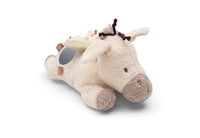 Activiteiten Knuffel - Donkey Dinky